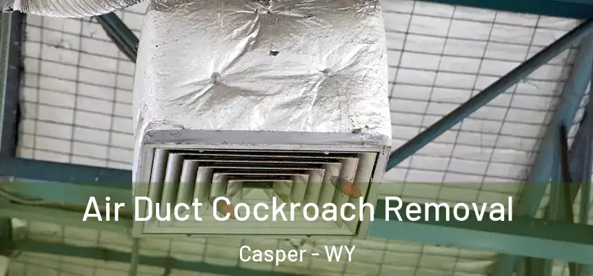 Air Duct Cockroach Removal Casper - WY