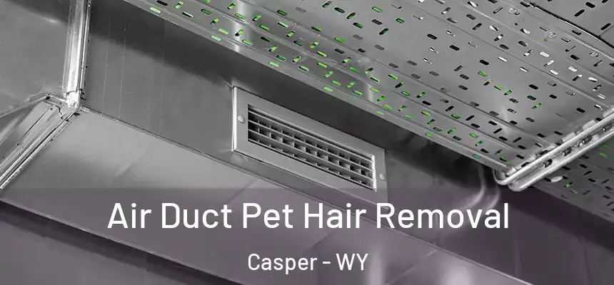  Air Duct Pet Hair Removal Casper - WY