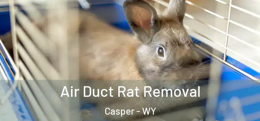 Air Duct Rat Removal Casper - WY