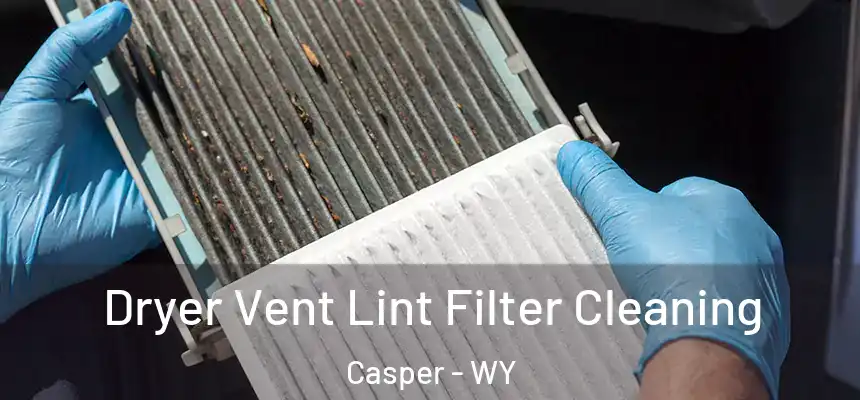  Dryer Vent Lint Filter Cleaning Casper - WY