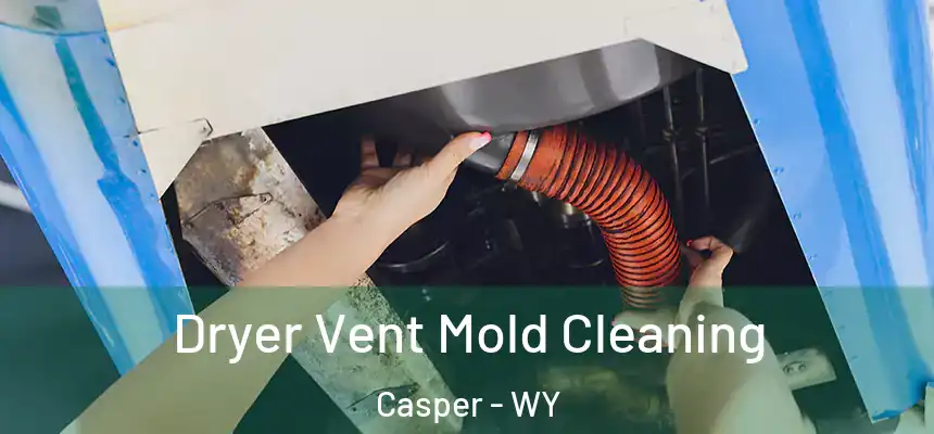  Dryer Vent Mold Cleaning Casper - WY