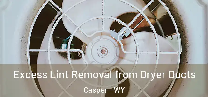 Excess Lint Removal from Dryer Ducts Casper - WY