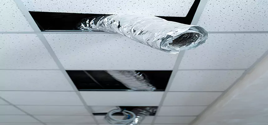 Our Air Duct Pet Hair Removal Services in Casper, WY