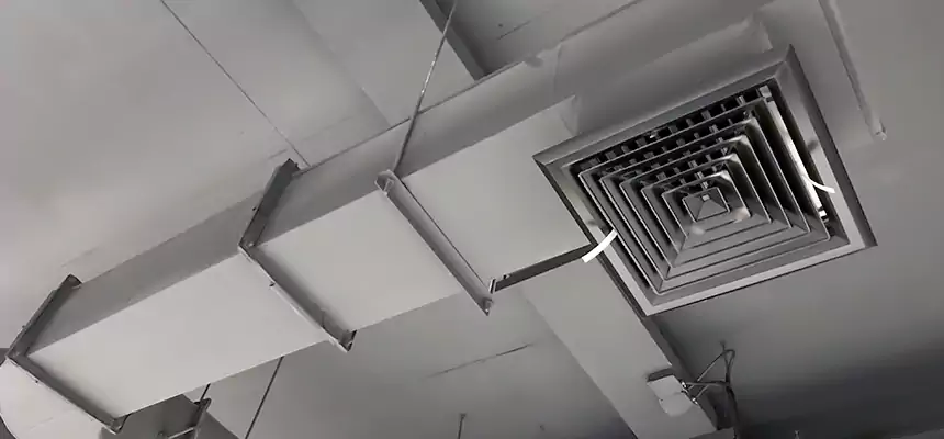 Our Pest Removal From Ducts Services in Casper, WY