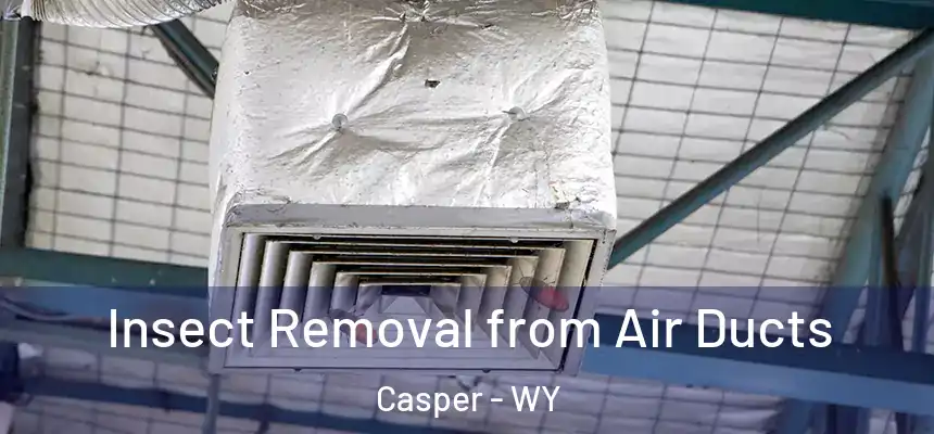 Insect Removal from Air Ducts Casper - WY