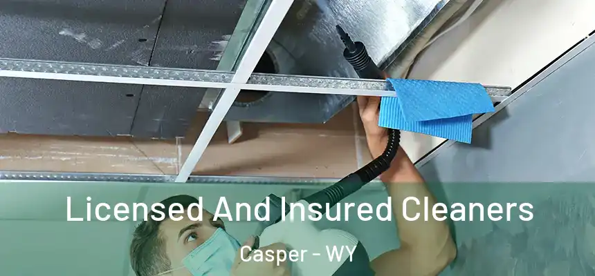 Licensed And Insured Cleaners Casper - WY