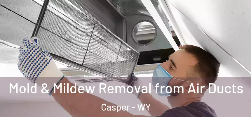 Mold & Mildew Removal from Air Ducts Casper - WY