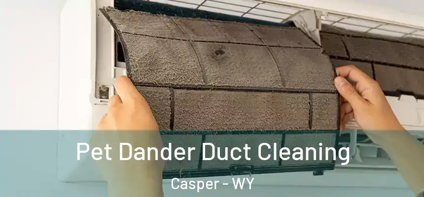 Pet Dander Duct Cleaning Casper - WY