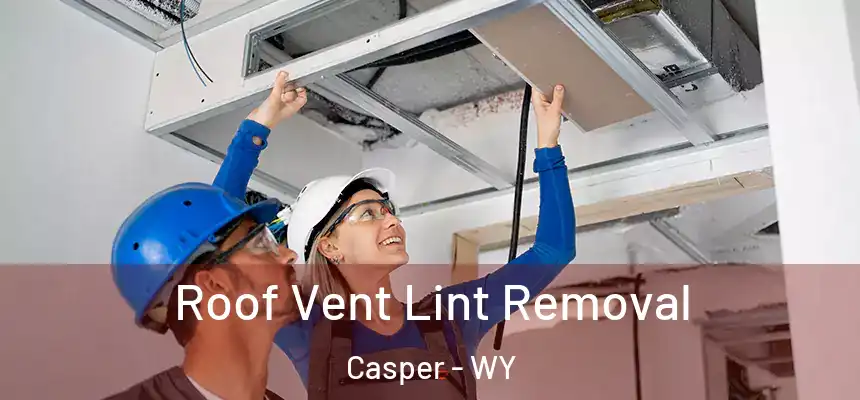 Roof Vent Lint Removal Casper - WY