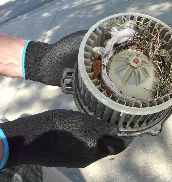 About Air Duct Rat Removal in Casper, WY