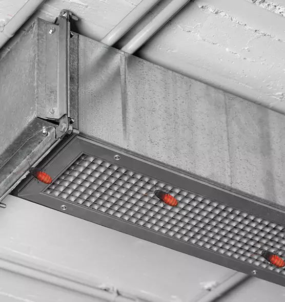 Affordable Insect Removal from Air Ducts in Casper, WY