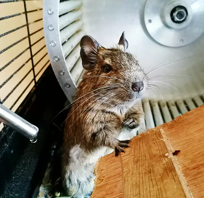 Why Homeowners & Businesses Trust Us Casper, WY